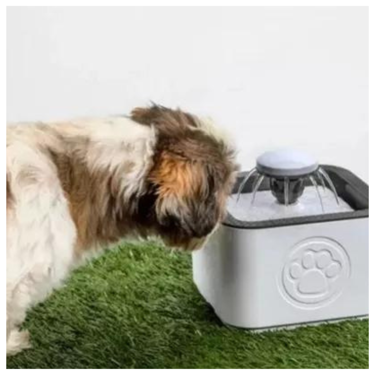 Fuente de Agua para mascotas
